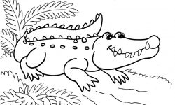 Dibujos de cocodrilos
